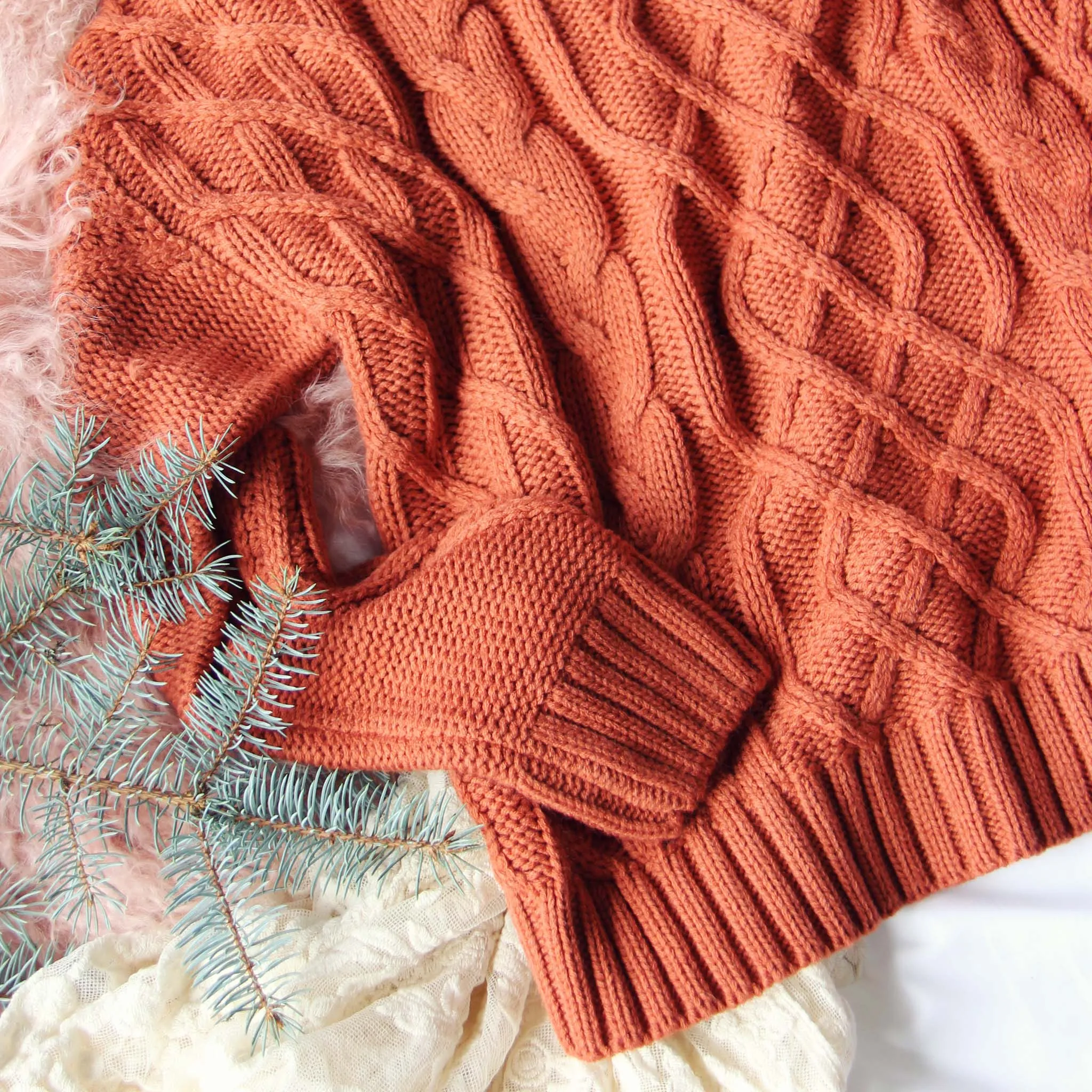 Cozy Cable Sweater in Rust