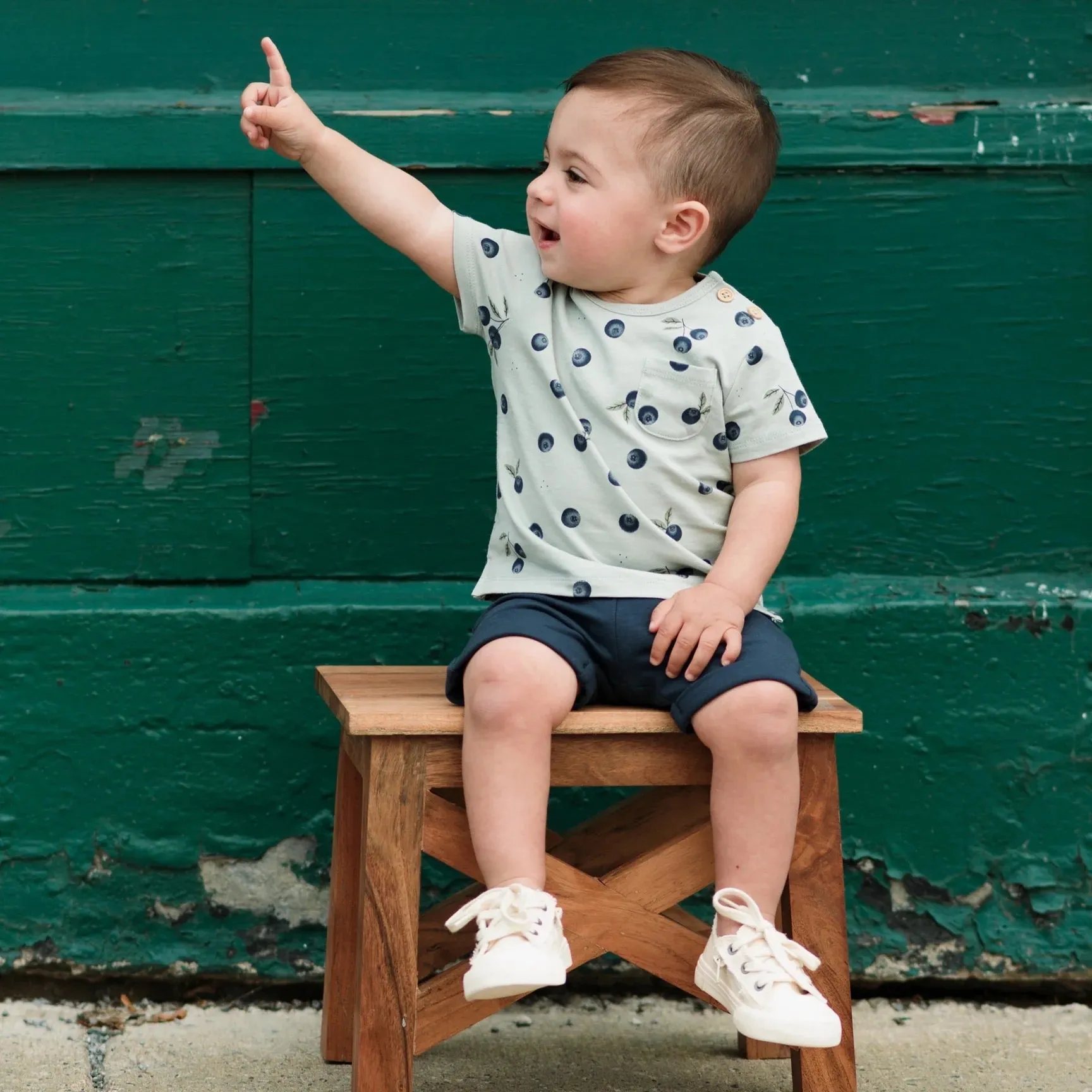 Petit Lem Blueberry Print Shorts Set